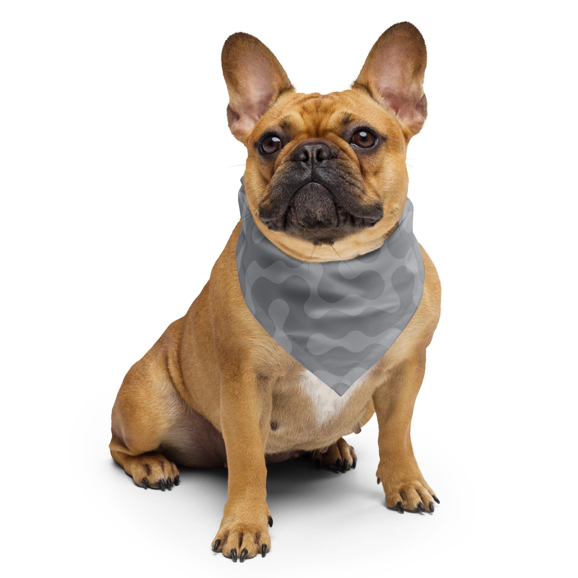 Sebastian & Clementine Gray Pattern Pet Cotton Bandana