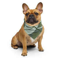 Sebastian & Clementine Green Floral Bandana For Dogs and Cats