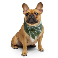 Sebastian & Clementine Green Floral Bandana For Dogs and Cats