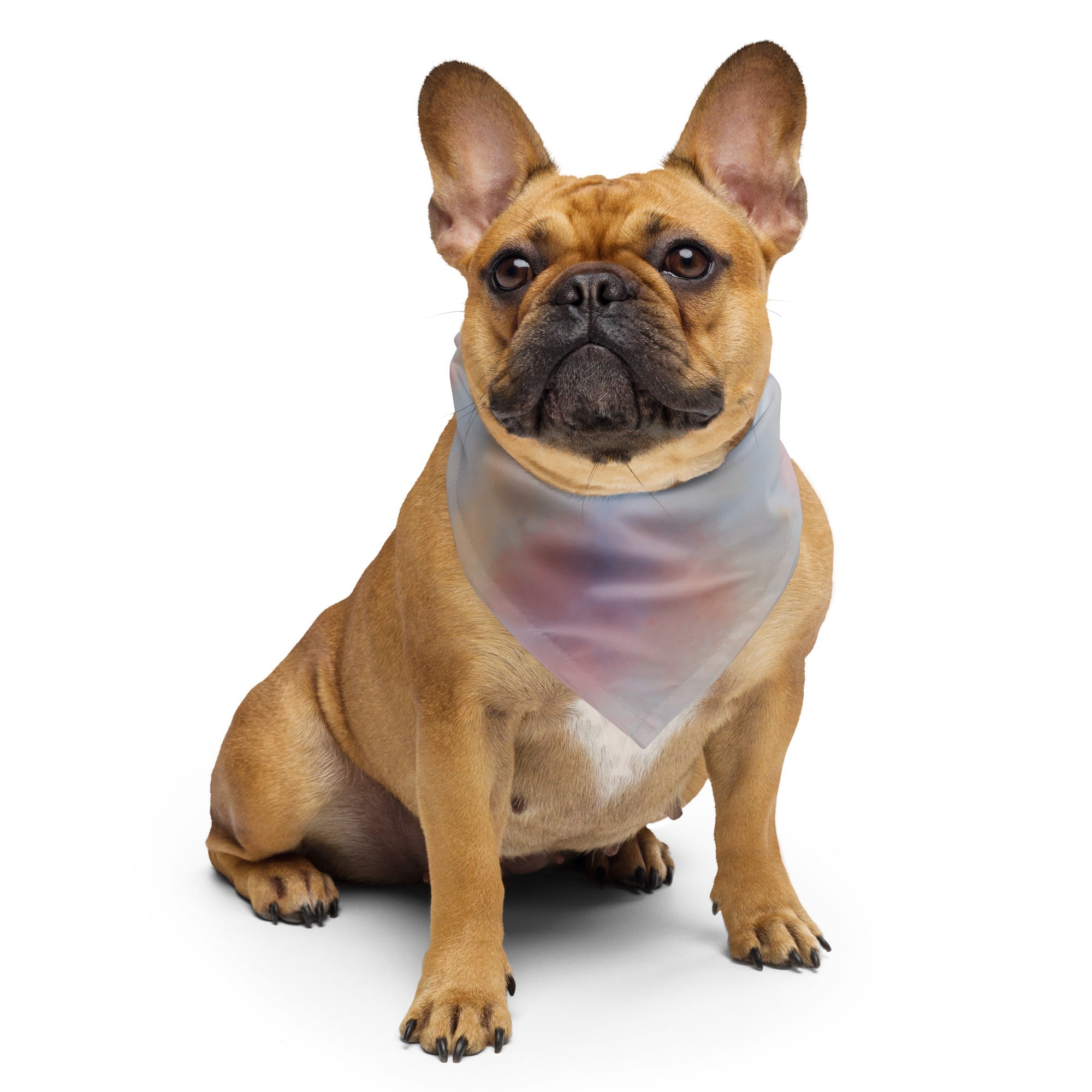 Sebastian & Clementine Pastel Clouds Bandana For Dogs and Cats