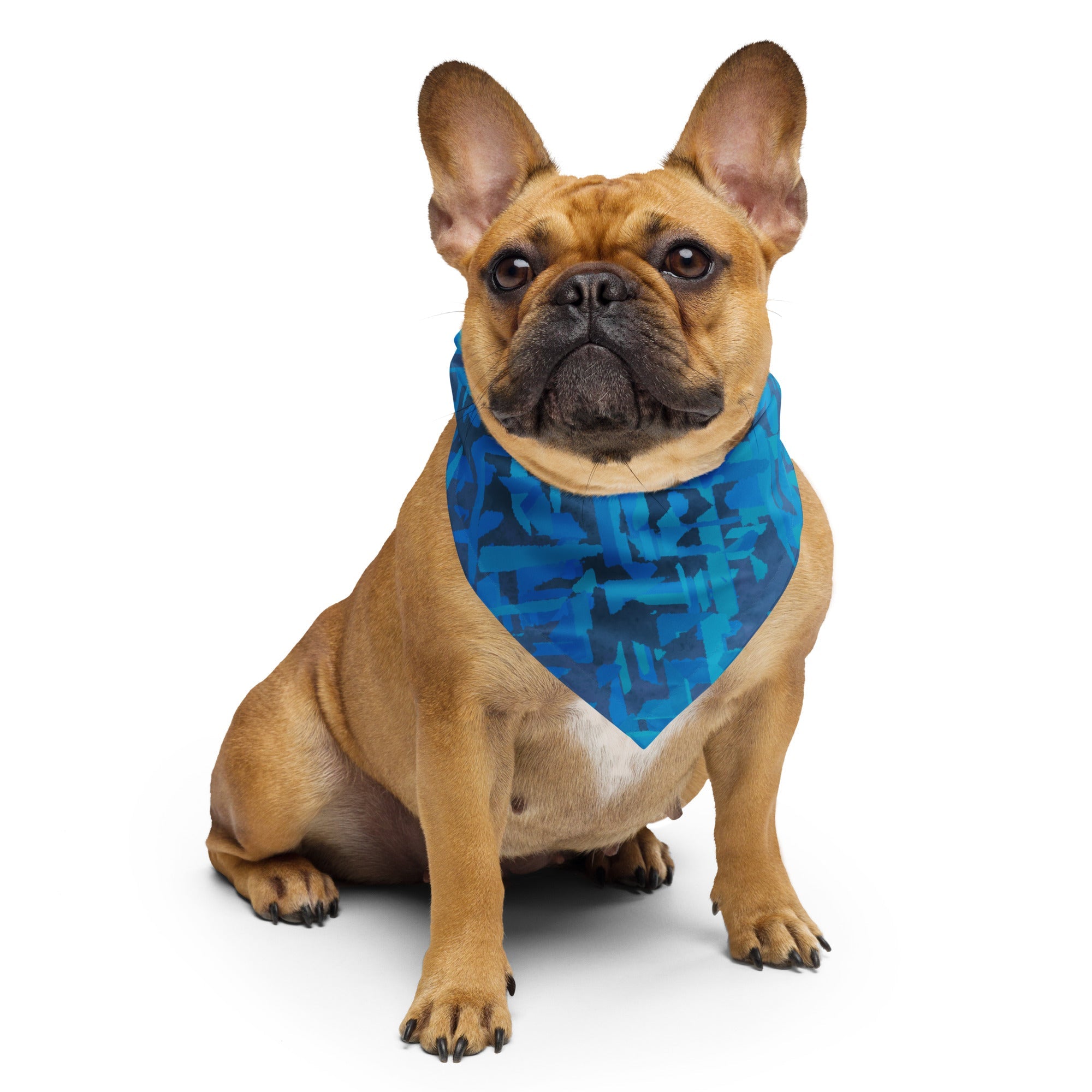 Sebastian & Clementine Blue Arrows Bandana For Dogs and Cats