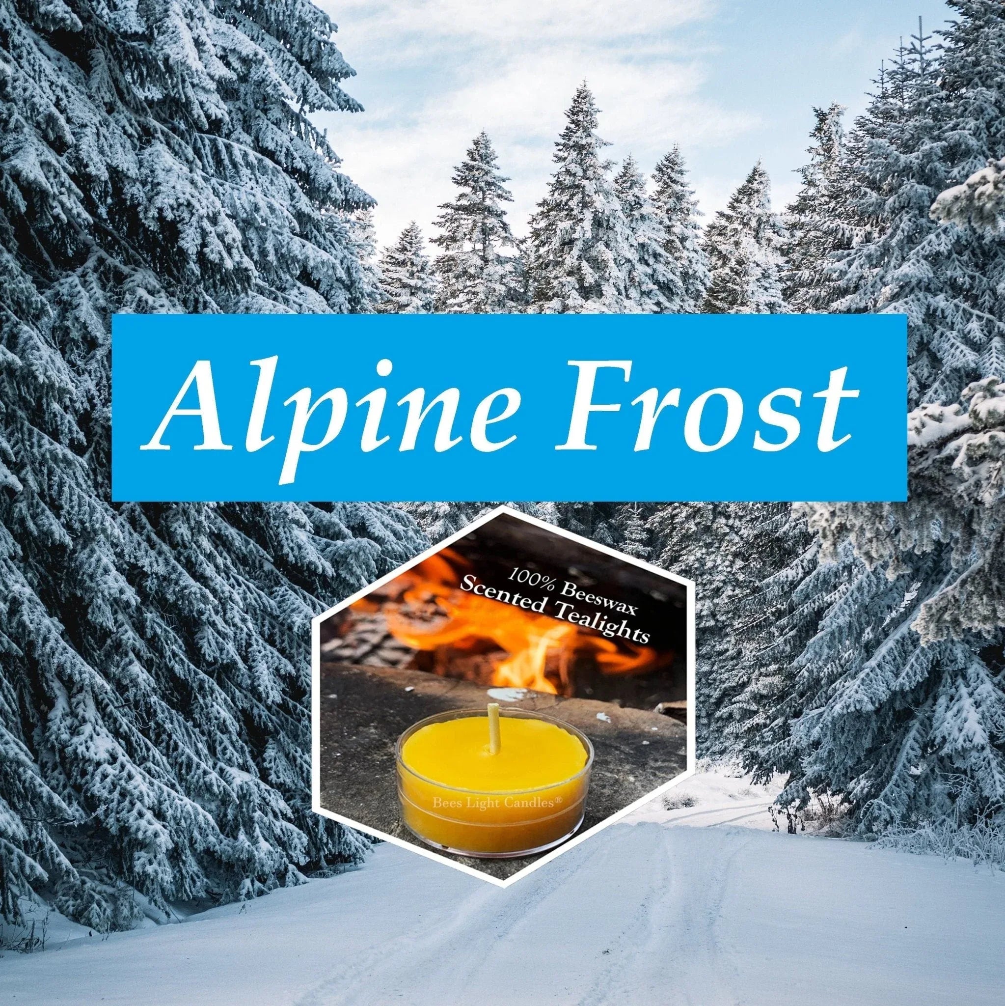Alpine Frost Scented Beeswax Candle - BIG FRENCHIES
