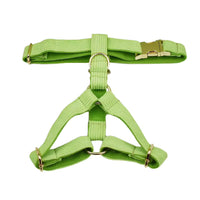 Personalized Apple Green Corduroy Classic Set