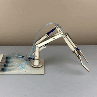 Hydraulic Robotic Arm DIY Kit, Educational STEM Toy - BIG FRENCHIES