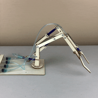 Hydraulic Robotic Arm DIY Kit, Educational STEM Toy - BIG FRENCHIES
