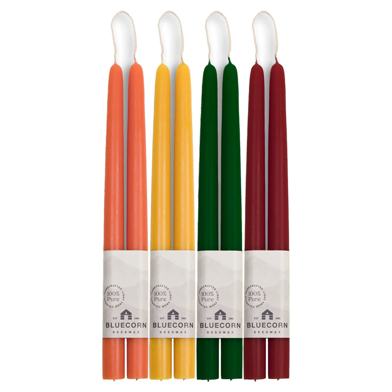 Autumn Beeswax Taper Bundle - Raw, Moss, Burgundy & Apricot - BIG FRENCHIES