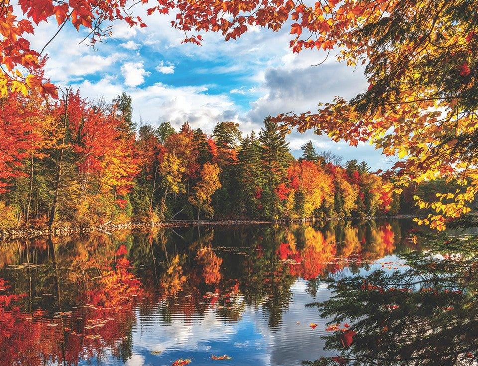 Autumn Lake 1500 Piece Jigsaw Puzzle by Springbok Puzzles - BIG FRENCHIES