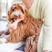 Bone Felt Wool Toy