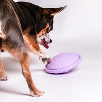 Flying Saucer Puzzle Toy