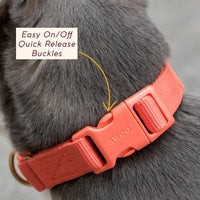 Marty Collar