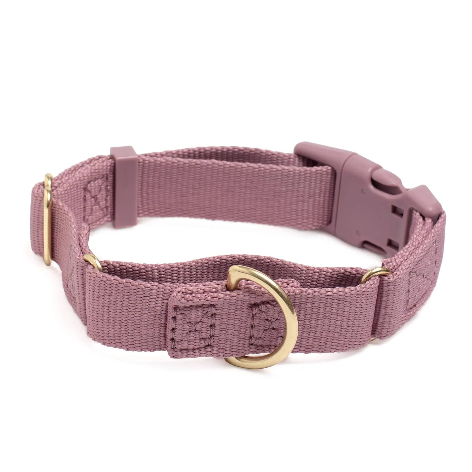 Marty Collar