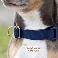 Pack Collar