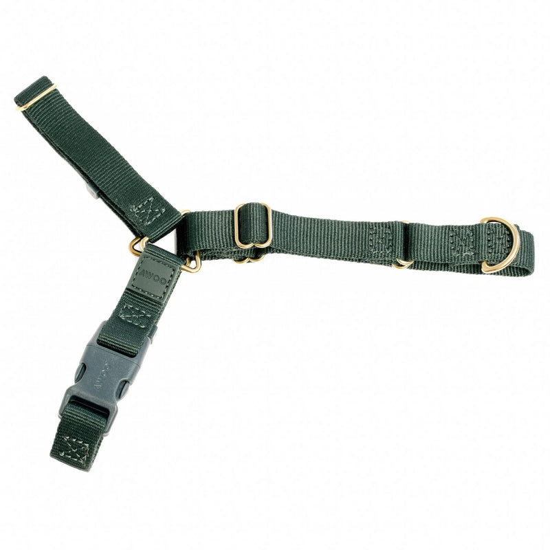 Roam Harness-Harness-BIG FRENCHIES-Awoo