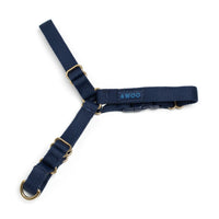 Roam Harness