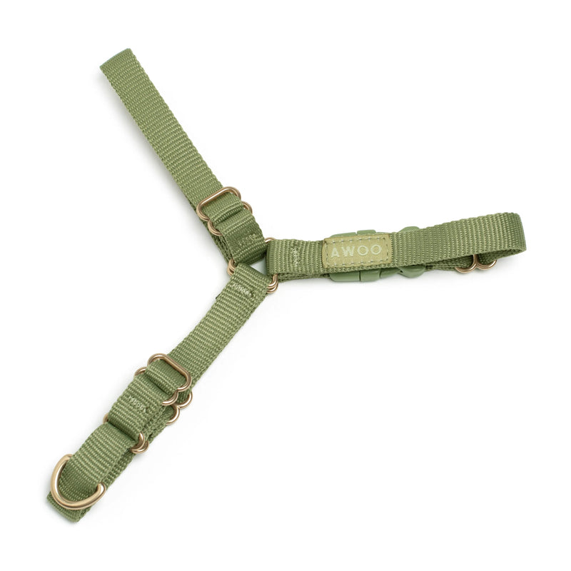 Roam Harness-Harness-BIG FRENCHIES-Awoo