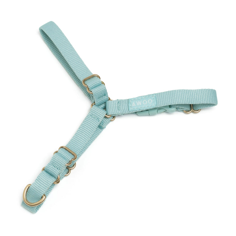 Roam Harness-Harness-BIG FRENCHIES-Awoo