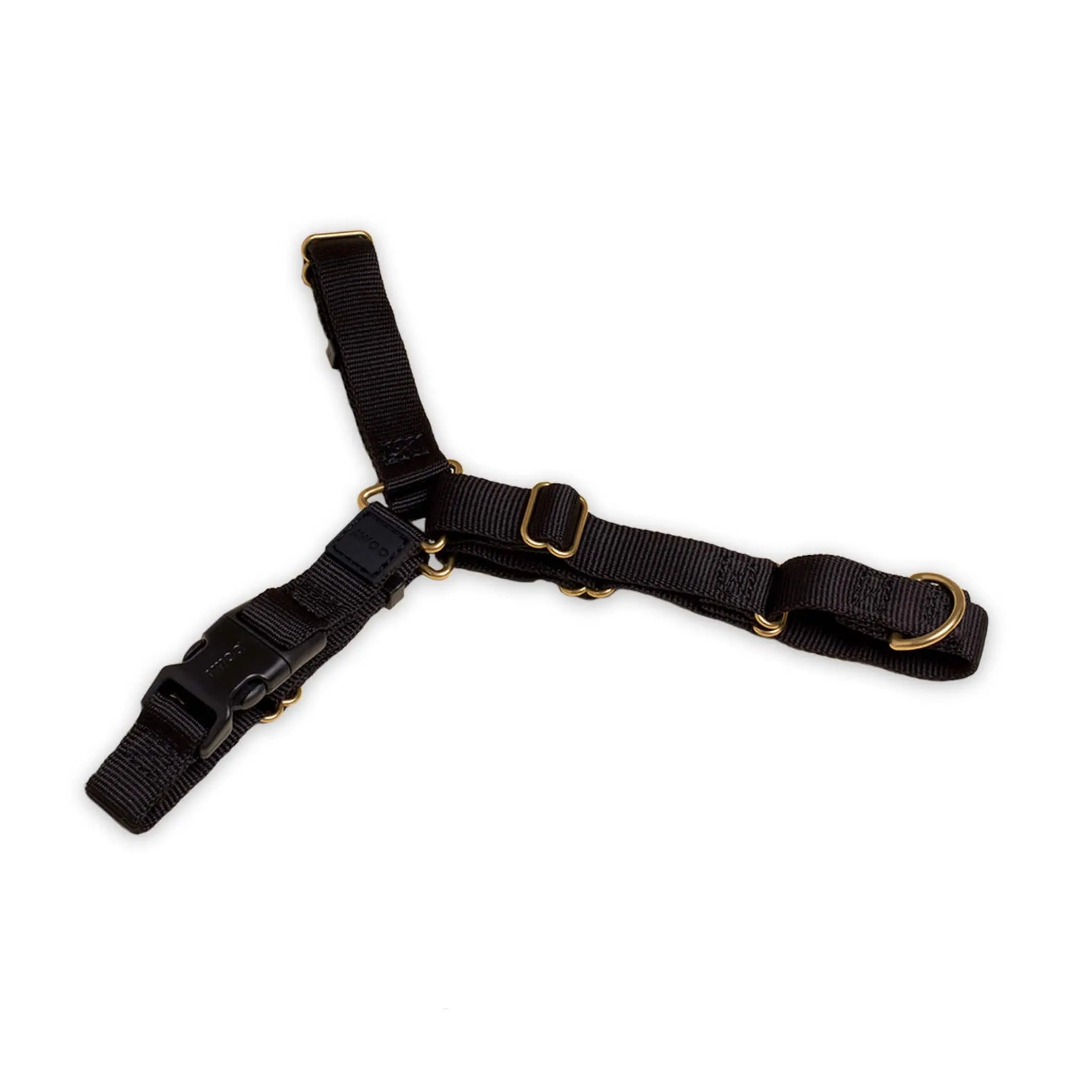 Roam Harness