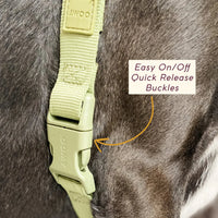 Roam Harness