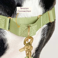 Roam Harness