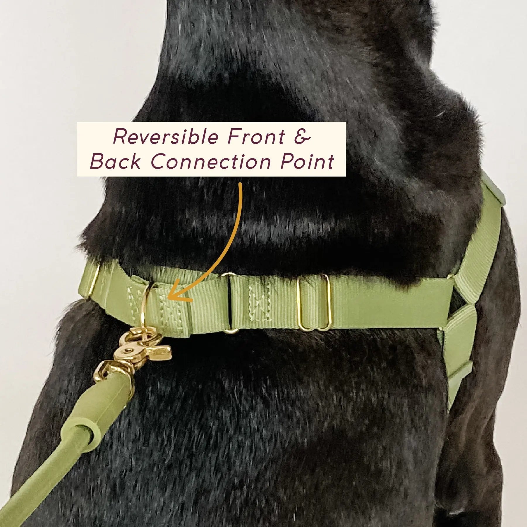 Roam Harness - Last Chance