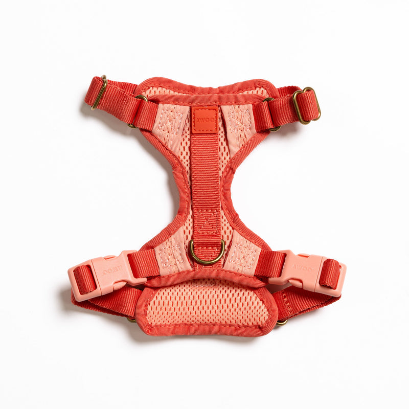 Huggie Harness-Harness-BIG FRENCHIES-Awoo