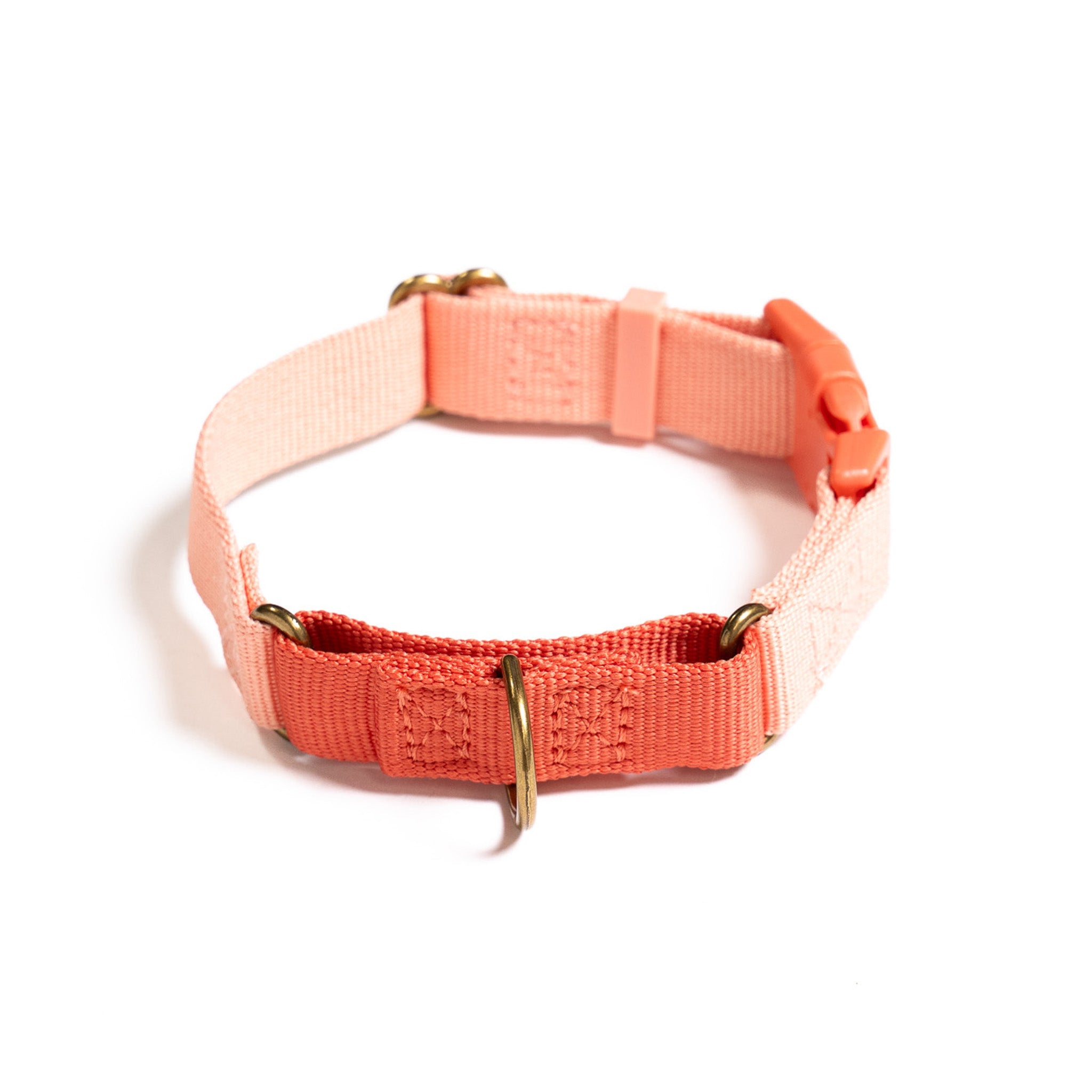 Marty Collar