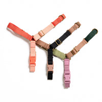 Roam Harness