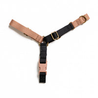 Roam Harness