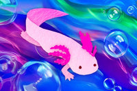 Axolotl Mini Jigsaw Puzzle | MicroPuzzles