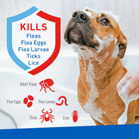Keep Your Dog Happy and Flea-Free with ADAMS Plus Flea & Tick Foaming Shampoo & Wash - 2 Pack for Sensitive Skin! - BIG FRENCHIES