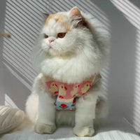 Universal Cute Warm Sweater For Pets
