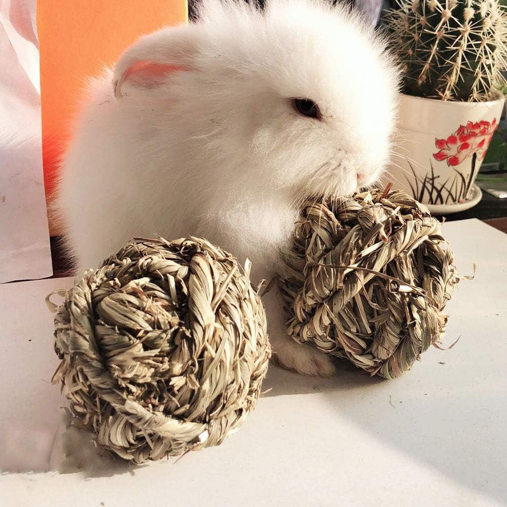 Get Your Furry Friends Hopping with Our Timothy Grass Chew Ball – Perfect Playtime for Bunnies, Hamsters, and Guinea Pigs! 🐰🐹🥳 - BIG FRENCHIES