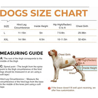 Pet Dog Hip Joint Knee Support Brace Comfortable And Breathable Chest Harness