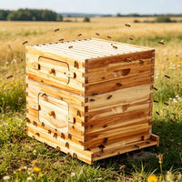 Bee Hive for Outdoor