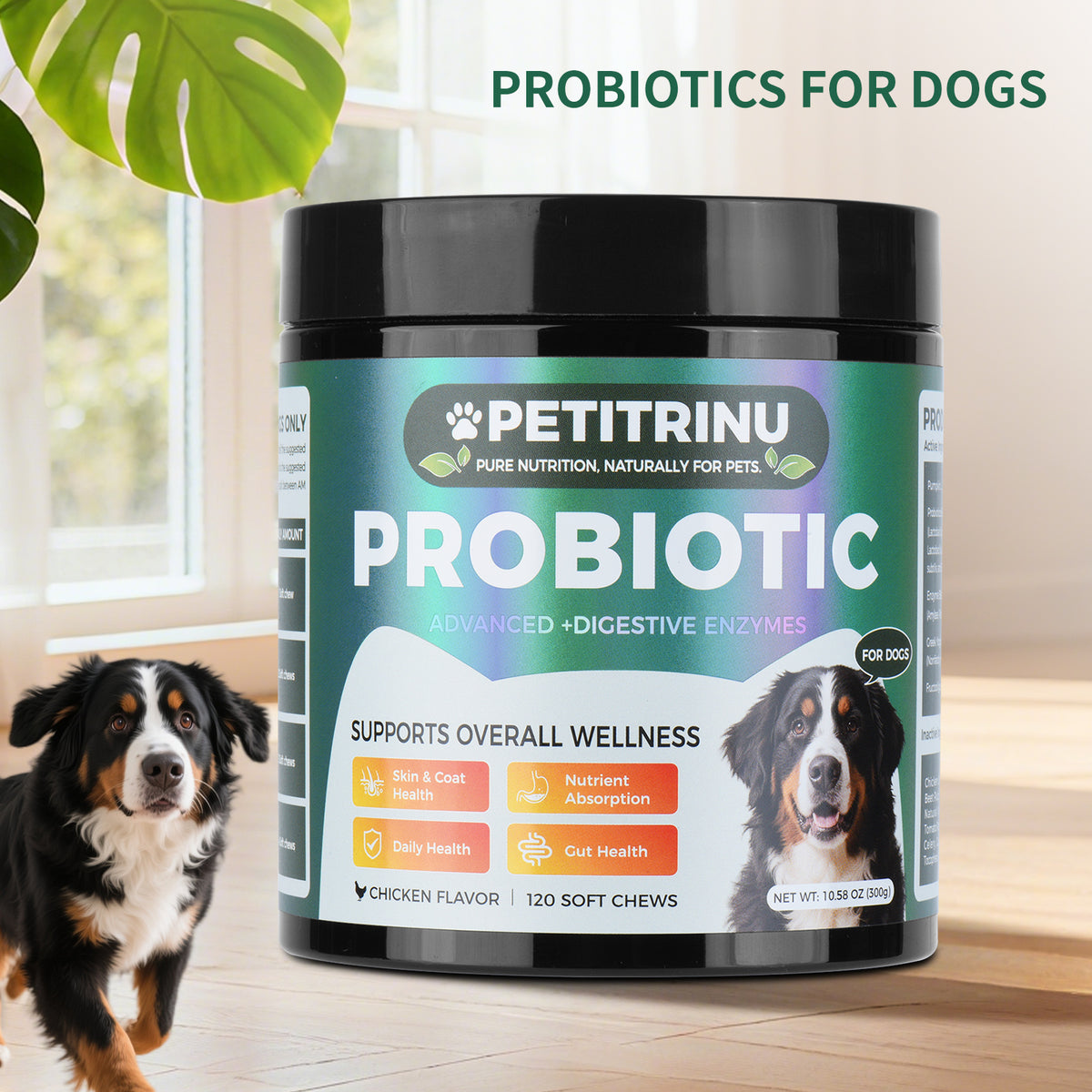 Only Self Pickup---Probiotics For Dogs