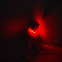 LED Dog Collar: Green