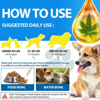 Hemp Oil for Dogs & Cats — Calming, Joint & Skin Support | 60ml Daily Supplement