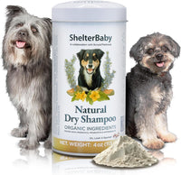 Dry Shampoo for Dogs Itchy Skin Paw Licking Allergy Support Powder