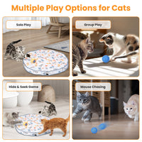 1Pc Cat Toys Ball Fast Rolling In Pouch Rechargeable Motion Activated Interactive Cat Toys For Indoor Cats Hide And Seek