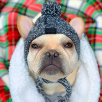 Autumn Winter Warm Knitted Pet Hats With Fluffy Ball - BIG FRENCHIES