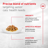 Senior Cat Wet Food 11+ Royal Canin Aging Thin Slices Gravy 3oz 12 Pack