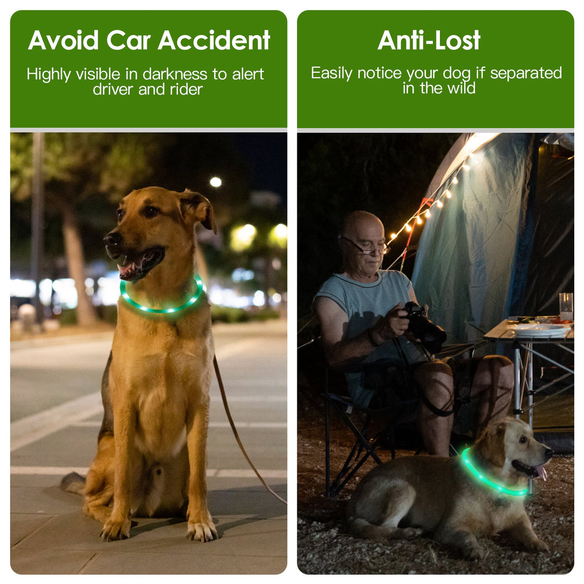 1Pc USB Rechargeable LED Dog Collar Multi Color Lighting Dog Safety Collar Cuttable Length Glow Dog Collar For Small Med