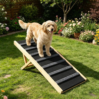 Dog Ramp with Non-Slip and Adjustable Height 39.3 X 15.7 X 1.8 in