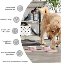 Paw & Patch Ceramic Pet Collection, Medium Set, 6X2", Gray, 2 Piece - BIG FRENCHIES