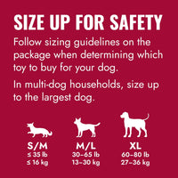 ® Ring Dog Toy, Medium/Large