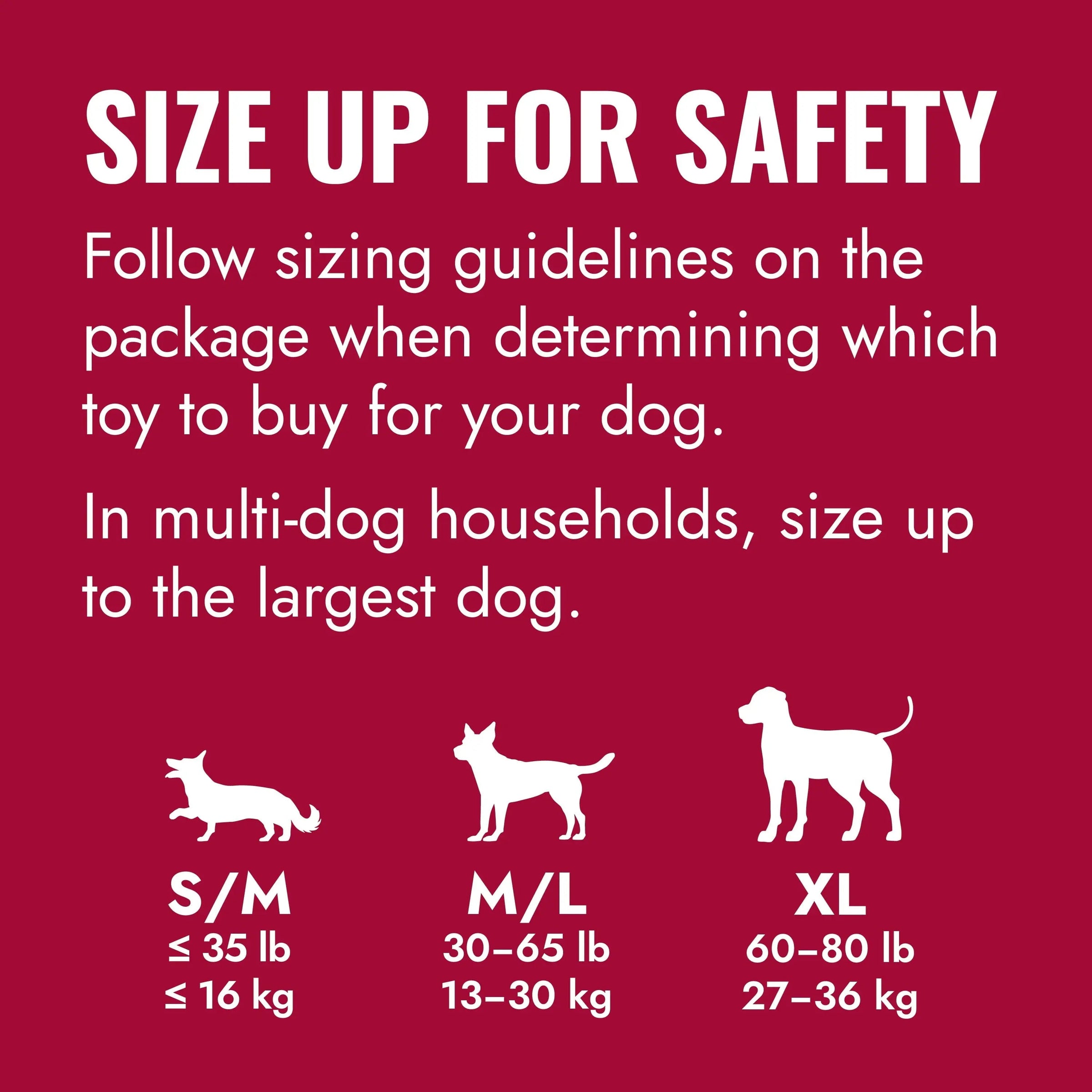® Ring Dog Toy, Medium/Large