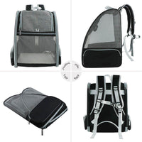 Texsens Innovative Traveler Bubble Backpack Pet Carriers for Cats and Dogs (Black) - BIG FRENCHIES