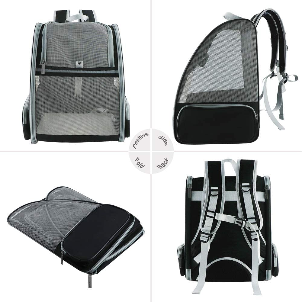 Bubble Backpack Pet Carriers for Cats and Dogs - BIG FRENCHIES