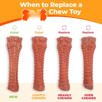 Power Chew Ring Bone Dog Toy Flavor Medley, XSmall Durable Chew Toy For Aggressive Chewers