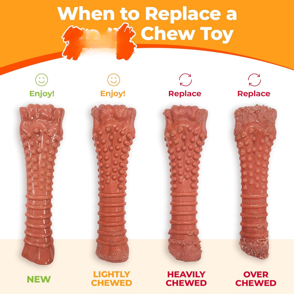 Power Chew Ring Bone Dog Toy Flavor Medley, XSmall Durable Chew Toy For Aggressive Chewers